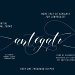 Alangte Font Poster 2