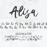 Alisa Font Poster 9