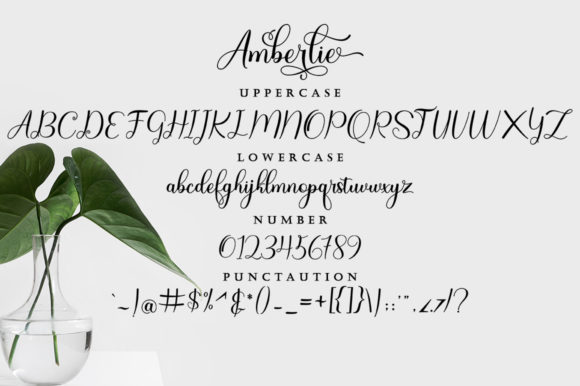 Amberlie Font Poster 7