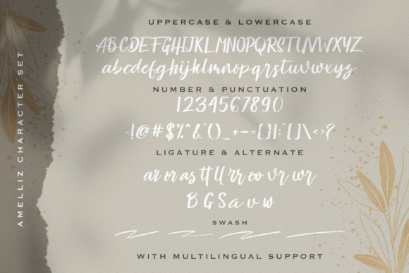 Amelliz Font Poster 14