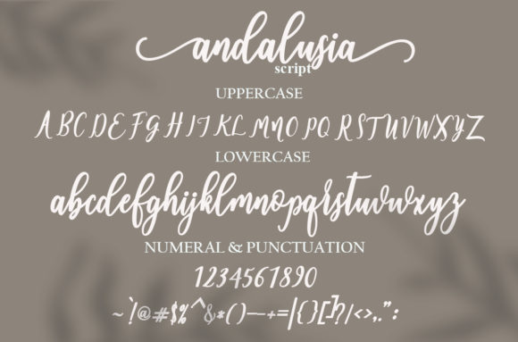 Andalusia Font Poster 7