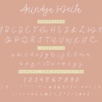 Anindya Meita Font Poster 5