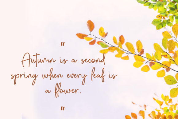 Autumn Fairy Font Poster 6