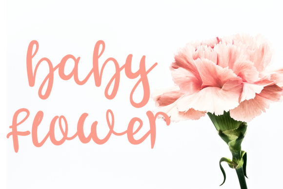 Baby House Font Poster 3