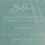 Baldive Font Poster 6