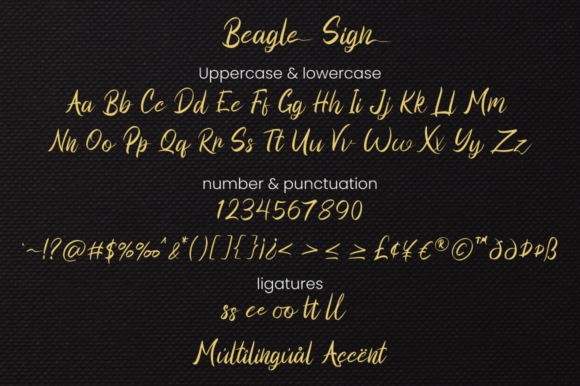 Beagle Sign Font Poster 6