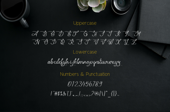 Beauty Lope Font Poster 7
