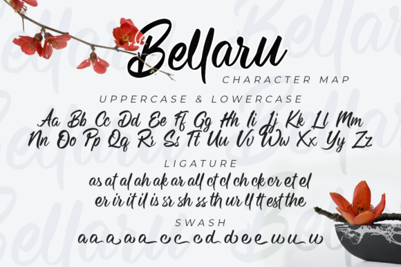 Bellaru Font Poster 6