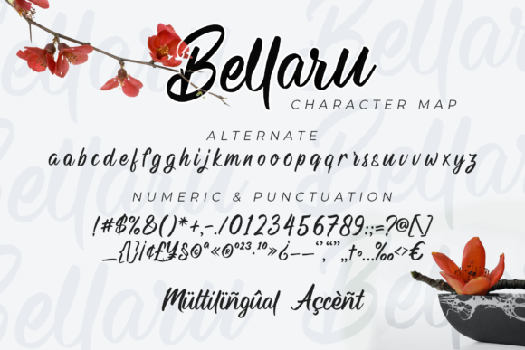 Bellaru Font Poster 7