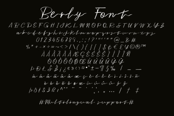 Berly Font Poster 8