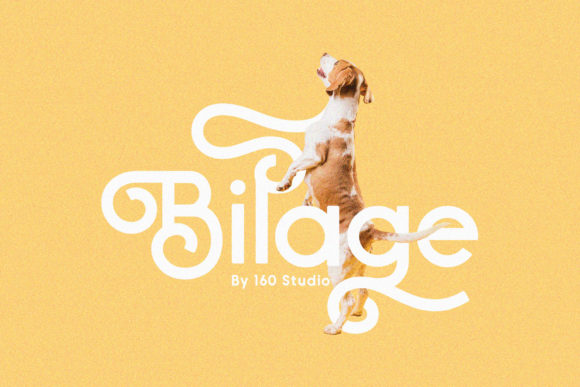 Bilage Font Poster 1