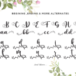 Botanical Flourish Font Poster 5