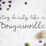 Bougenville Font Poster 4