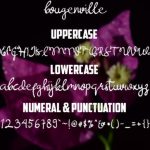 Bougenville Font Poster 5