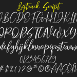 Bqtrack Font Poster 5