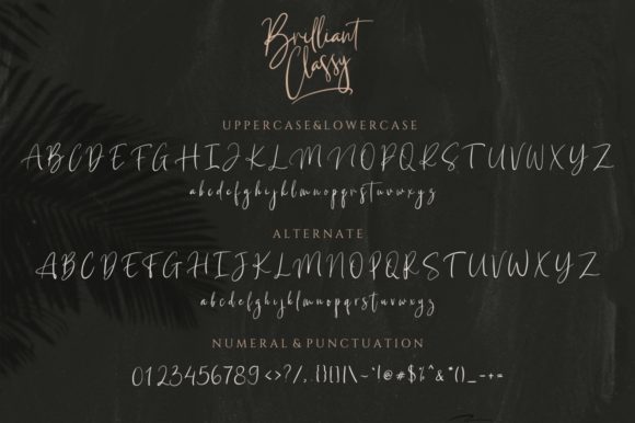 Briliant Classy Font Poster 12