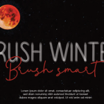 Brush Winter Font Poster 1