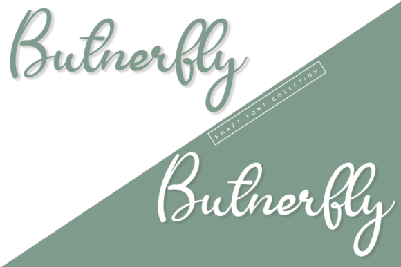 Butnerfly Font Poster 2