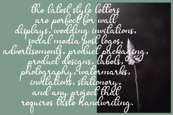 Butnerfly Font Poster 3