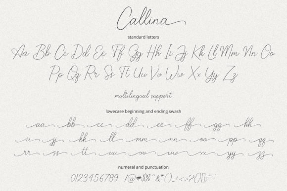 Callina Font Poster 10