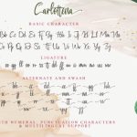 Carlottena Font Poster 9