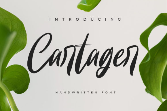 Cartager Font Poster 1