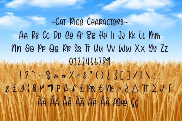Cat Rice Font Poster 4
