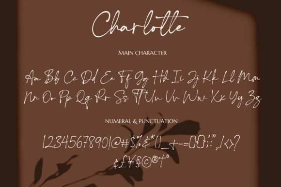 Charlotte Font Poster 8