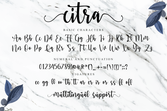 Citra Font Poster 9