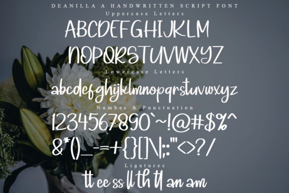 Deanilla Font Poster 6