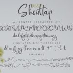 DeerUp Shouttap Duo Font Poster 9