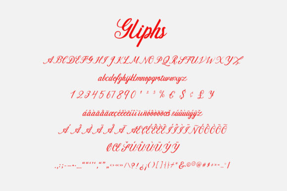 Delfis Font Poster 9