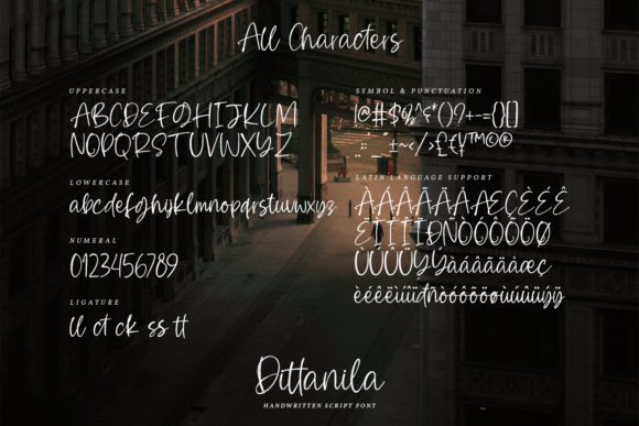 Dittanila Font Poster 2