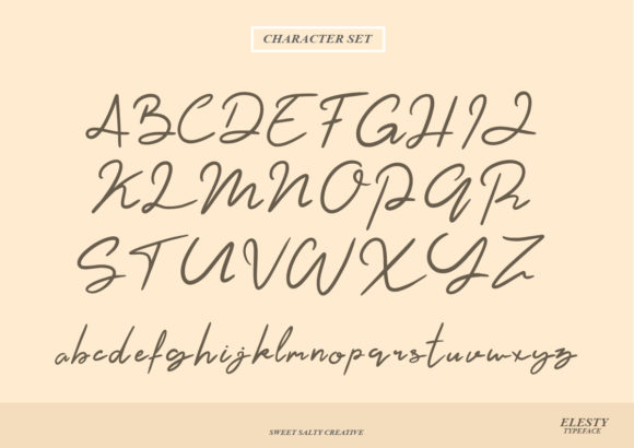 Elesty Font Poster 8