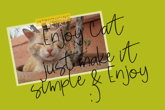 Enjoy Cat Font