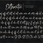 Esthentic Font Poster 9