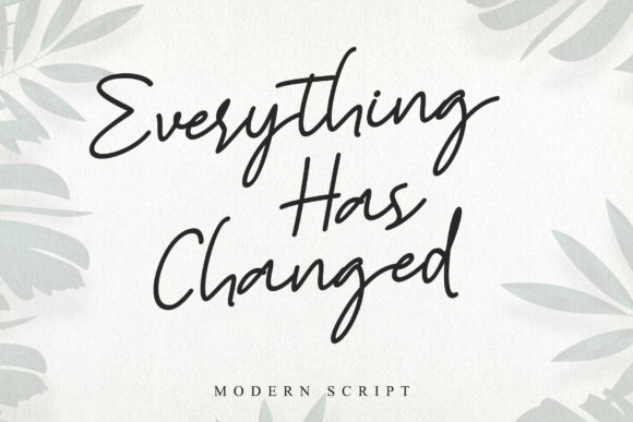 Everything Has Changed Font