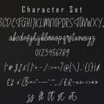 Fast Set Font Poster 6