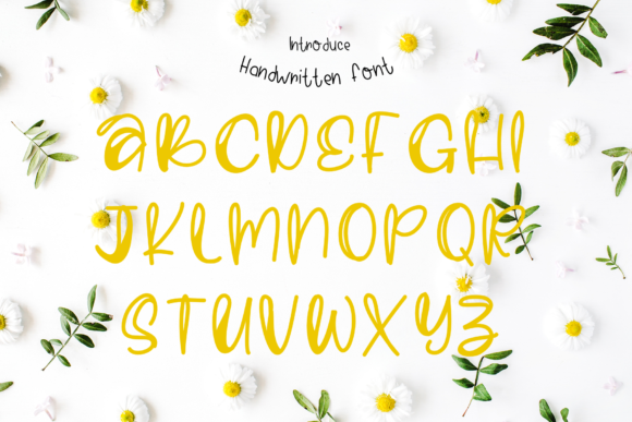 Felicity Font Poster 2