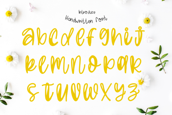 Felicity Font Poster 3