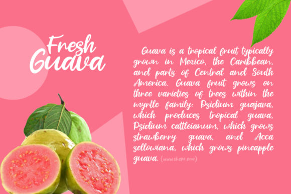 Fresh Guava Font Poster 2