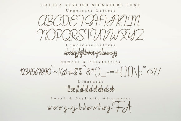 Galina Font Poster 6