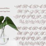 Hand Lettered Effect Monogram Font Poster 7