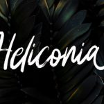 Heliconia Font Poster 1