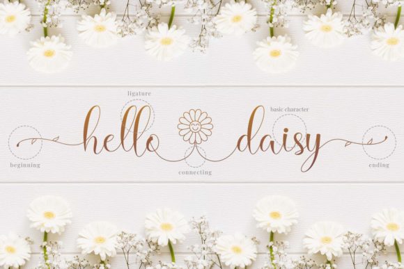 Hello Daisy Font Poster 7