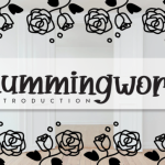 Hummingwork Font Poster 1