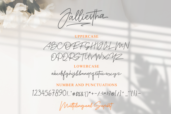 Jalliestha Font Font Poster 14