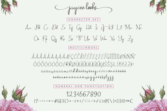 Jaycee Looks Font Poster 5