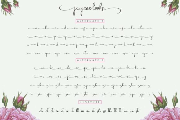 Jaycee Looks Font Poster 8