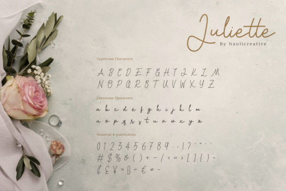 Juliette Font Poster 2